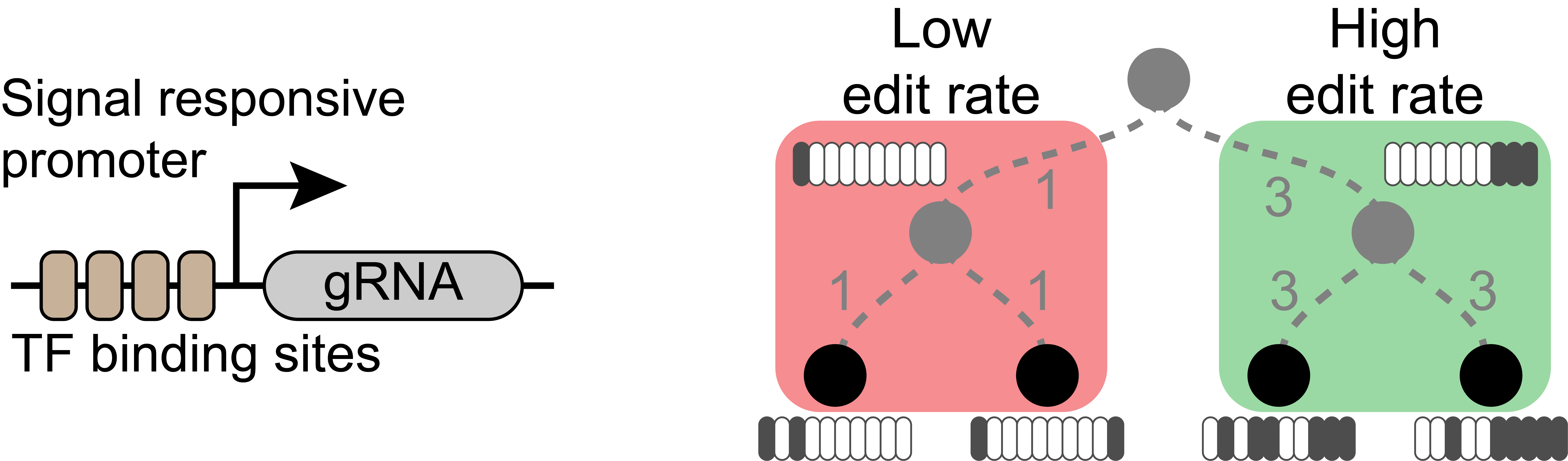 SignalRecording